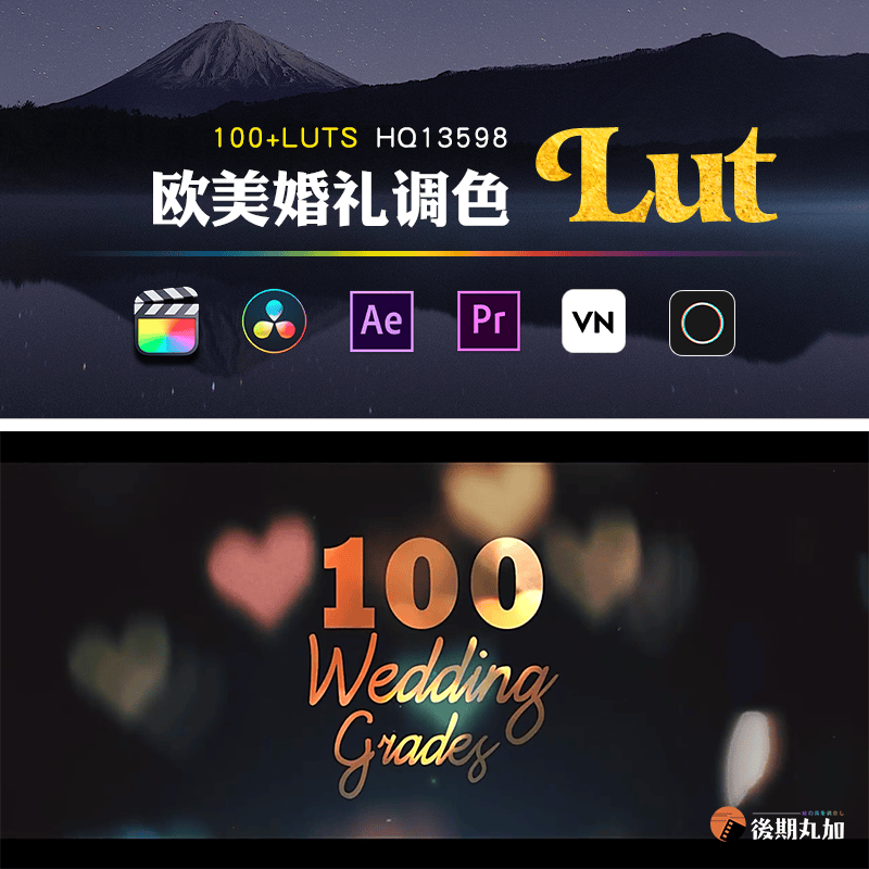 LUTs预设-100个现代时尚欧美婚礼色彩校色调色预设