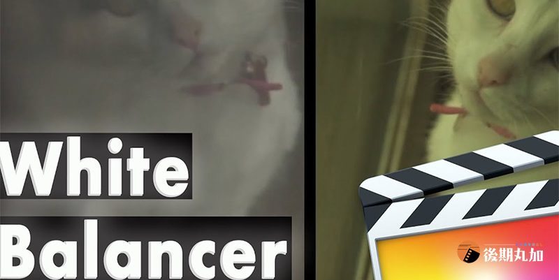 FCPX插件专业白平衡色温处理自动辅助校正效果finalcut工具支持m1