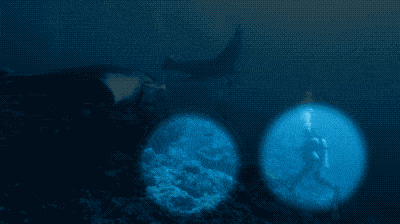 FCPX视频克隆修复跟踪特效画面瑕疵处理移除工具插件ProPatch3.0 HQ13804