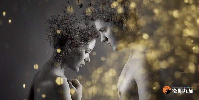 FCPX转场金色粒子飘散无缝转场过渡后期视频插件finalcutprox转场