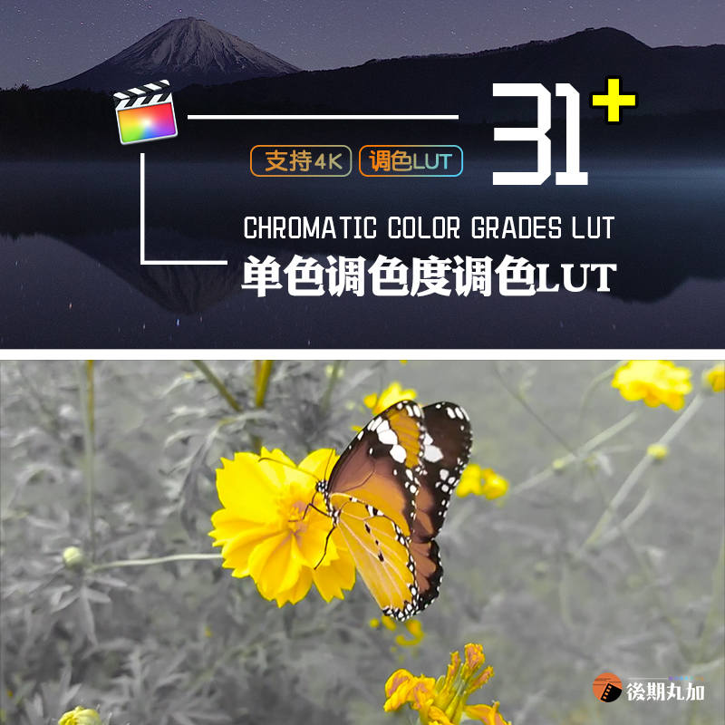 单色调色度保留饱和度调色LUT视频插件滤镜达芬奇/FCPX/Pr/VN/AE.HQ67154