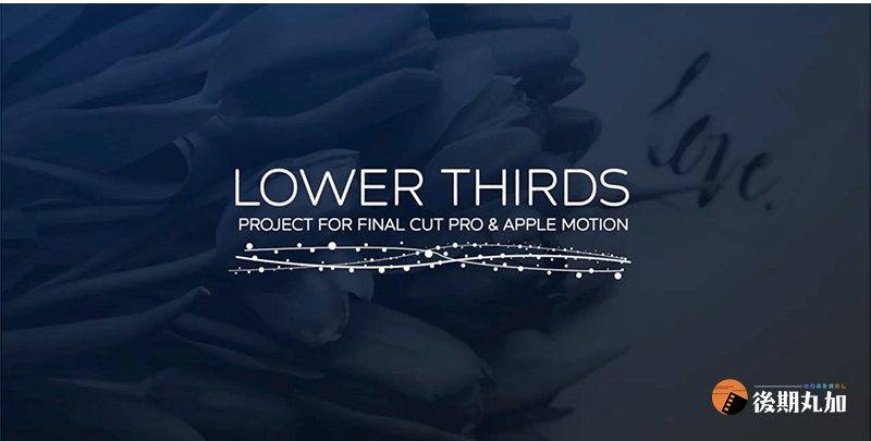 FinalCut浪漫爱情字幕婚礼标题动态效果视频预设片头开场fcpx插件.HQ73120