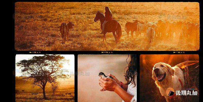 FCPX插件-82款复古怀旧电影胶片边框叠加效果 mFilm Matte-HQ73089