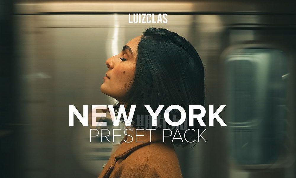 【Lr/Ps预设】10款葡萄牙新古典室内人像摄影师路易斯克拉斯预设包LUIZCLAS NEW YORK PRESET PACK-HQP00007
